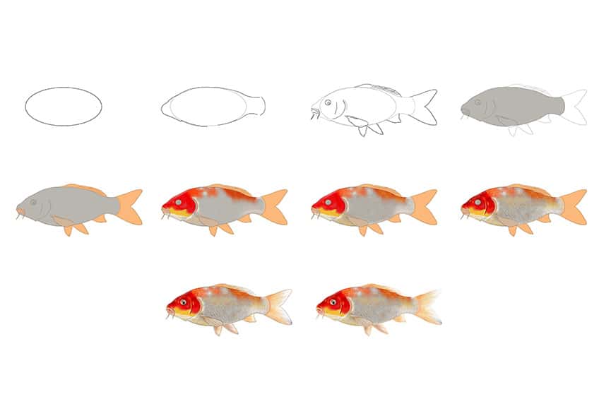 Como desenhar um peixe Koi - Um desenho fácil de peixe Koi