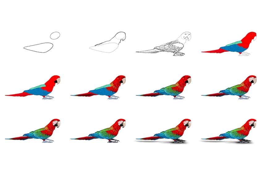Como desenhar um papagaio - Um desenho divertido e colorido de um papagaio